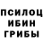 Псилоцибиновые грибы GOLDEN TEACHER b1ack64