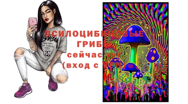 спайс Баксан