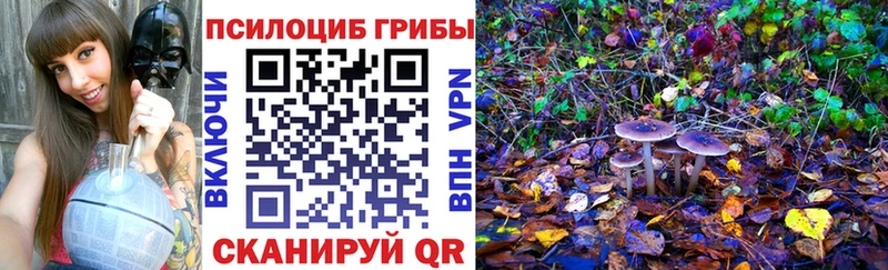 как найти закладки  Теберда  мега сайт  Псилоцибиновые грибы ЛСД 
